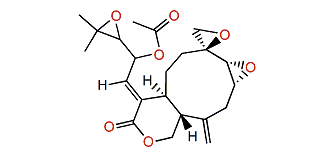 Xeniolide K